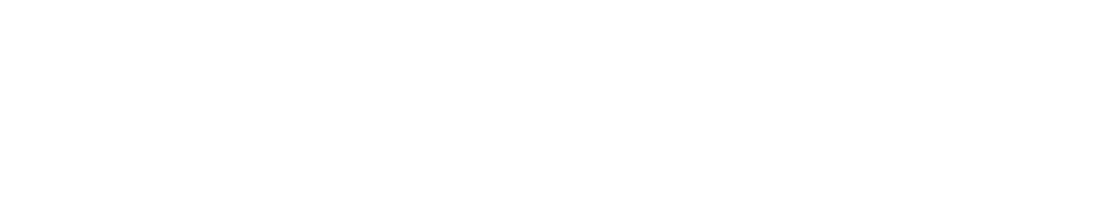 flynth-logo